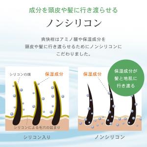 爽快柑 トリートメント ノンシリコン アミノ酸...の詳細画像5