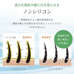 爽快柑 トリートメント ノンシリコン アミノ酸...の詳細画像5