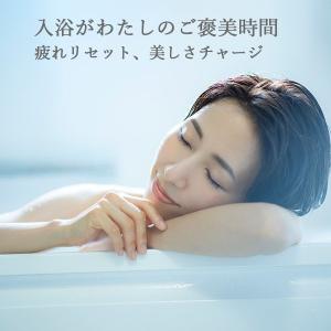 薬用 重炭酸 入浴剤 温浴タブレット 30錠入...の詳細画像1