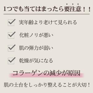 VITRY 卵殻膜×ヒト幹細胞原液 大容量10...の詳細画像2