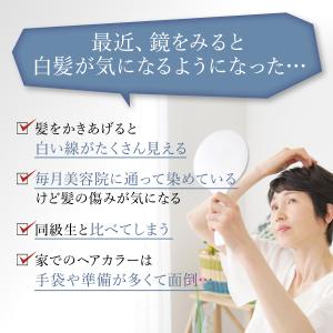 染まルン♪ヘアカラートリートメント 220g ...の詳細画像3