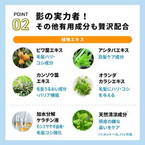 SHIN.薬用 育毛剤 [医薬部外品] 80m...の詳細画像5