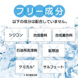 クール シャンプー クールオール ウォッシュ ...の詳細画像4