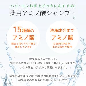 薬用 アミノ酸 シャンプー 爽快柑【医薬部外品...の詳細画像4