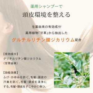 薬用 アミノ酸 シャンプー 爽快柑【医薬部外品...の詳細画像5