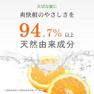 爽快柑シャンプー 大容量ボトル 500mL +...の詳細画像3