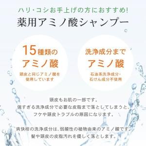 爽快柑シャンプー 大容量ボトル 500mL +...の詳細画像4