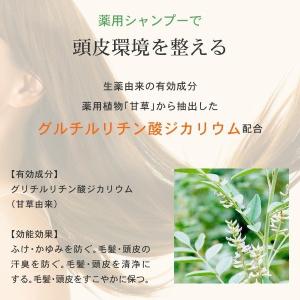 爽快柑シャンプー 大容量ボトル 500mL +...の詳細画像5
