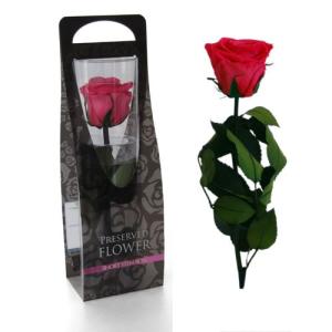 花 一輪 ラッピングの商品一覧 通販 Yahoo ショッピング