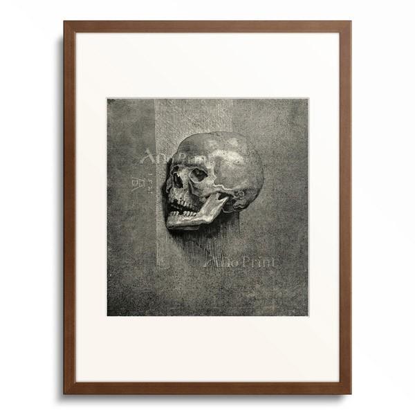 アルブレヒト・デューラー Albrecht Durer 「Skull」