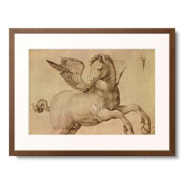 ヤコポ・デ・バルバリ Jacopo de&apos; Barbari 「Pegasus.」