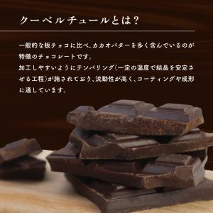 クーベルチュール ダーク100% お試しミニパ...の詳細画像2