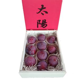 2023年8月中旬出荷 山梨県 プラム すもも スモモ 太陽 大玉 甲州市産 特産品 送料無料 産地直送
