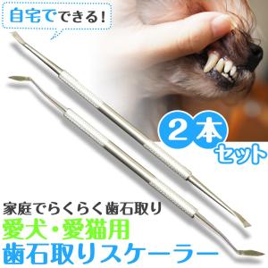 犬用スケーラー 歯石除去 歯石取り 器具 ペット 歯磨き