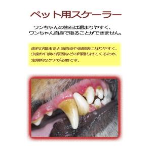犬歯石除去 おすすめのランキングtop100 人気売れ筋ランキング Yahoo ショッピング