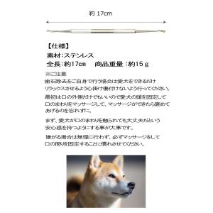 犬歯石除去 おすすめのランキングtop100 人気売れ筋ランキング Yahoo ショッピング