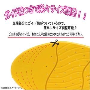 インソール スポーツ 衝撃吸収 土踏まず 立ち...の詳細画像3