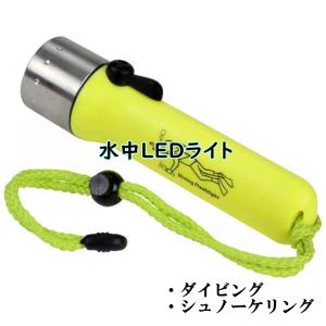 LED 防水 水中フラッシュライト 800LM ハイパワー スキューバーダイビング