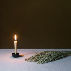 高澤ろうそく 菜の花ろうそく(豆50本入) 七...の詳細画像1