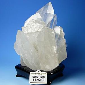 ★完売御礼★見事な大型クラスター≪安心の写真現物1点もの≫