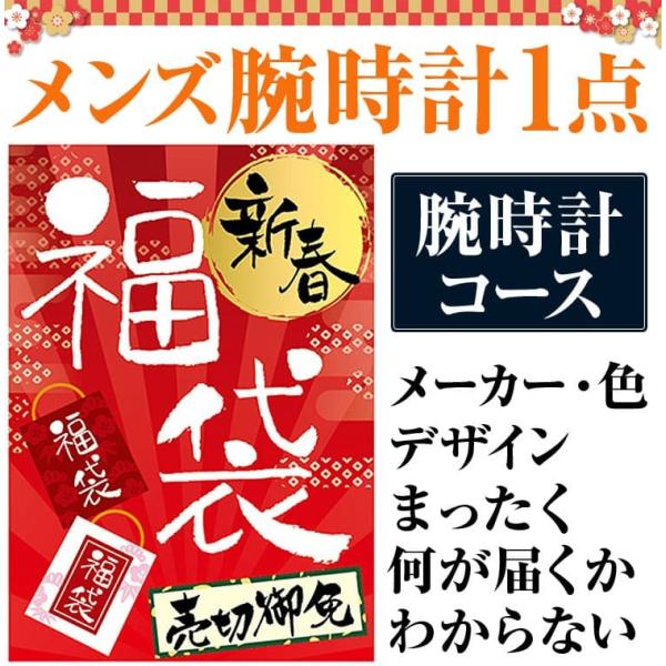 福袋 2024年 腕時計コース メンズ腕時計1点で7,980円 送料無料 男性 時計 メンズ