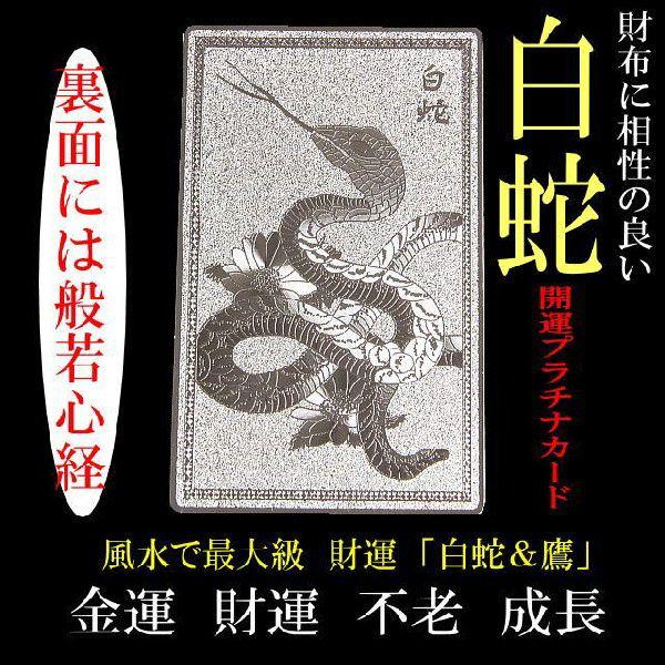白蛇＆鷹「開運プラチナプレート」風水で最強の金運/不老/家庭円満2025年の干支は金運最強の年　ヘビ...