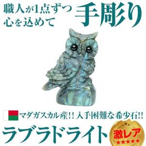 陶器 動物 鴨 置物 イタリア製 完成品 カルガモ マガモ アニマル