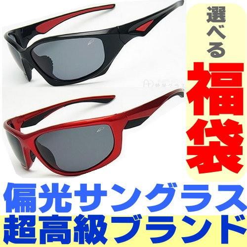 福袋 Profisher 偏光サングラス 2本で3,980円税別　送料無料 タイプが選べる　福袋