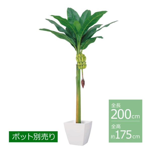 バナナツリー(L)(房バナナ付)/約175cm BT-2004-L／人工観葉植物 フェイクグリーン ...