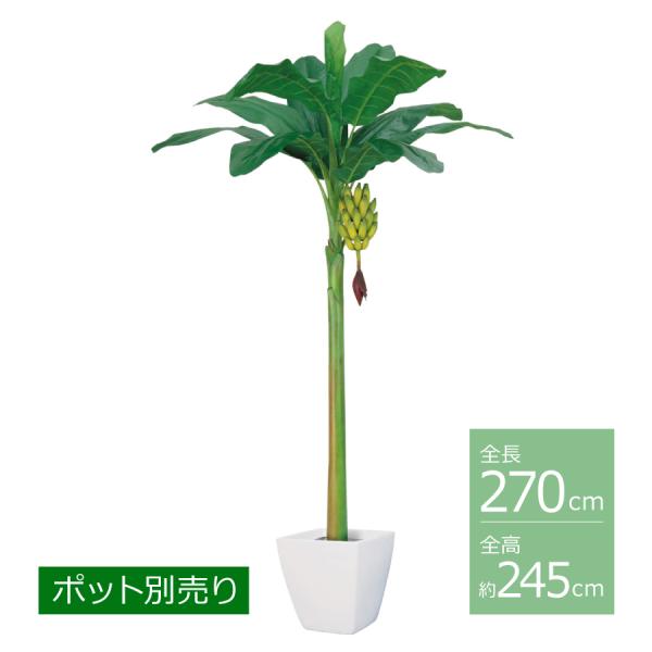 バナナツリー(LL)(房バナナ付)/約245cm BT-2004-LL／人工観葉植物 フェイクグリー...