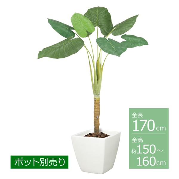 クワズイモ(L)/約150〜160cm BT-2034-L／人工観葉植物 フェイクグリーン 大型 イ...