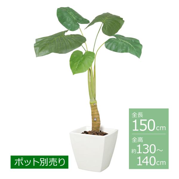 クワズイモ(S)/約130〜140cm BT-2034-S／人工観葉植物 フェイクグリーン 大型 イ...