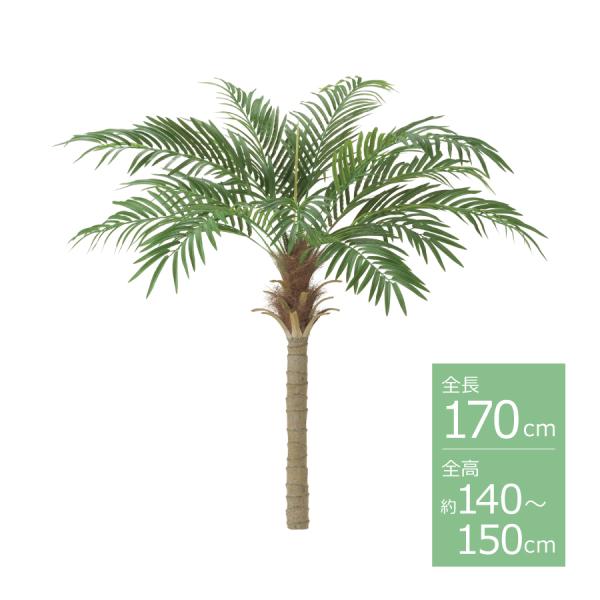 フェニックスパームツリー(M)/140〜150cm BT-2038-M／人工観葉植物 フェイクグリー...