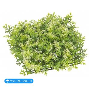 ダスティミラーガーデンマット LEE-7092/...の商品画像