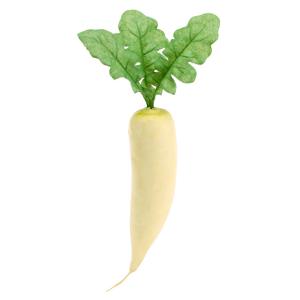 ダイコン VF-1147／食品サンプル フェイクフード 野菜