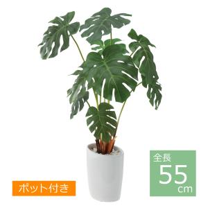 ロングモンステラオーバルポット/55cm GLA-1228／人工観葉植物 フェイクグリーン 鉢付き インテリア