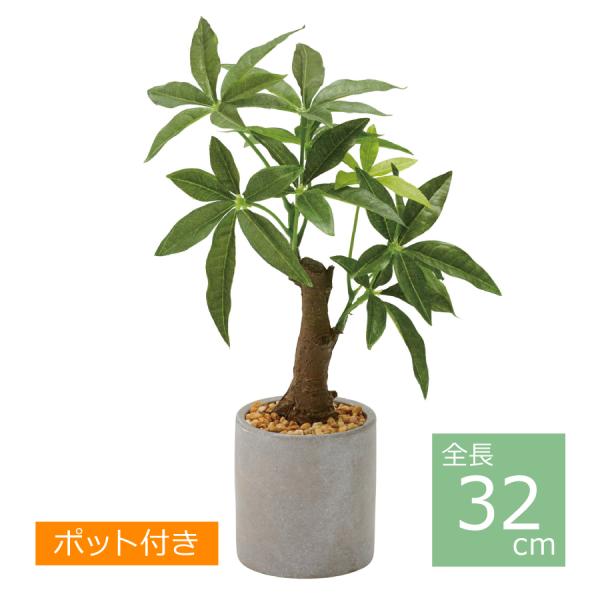 パキラセメントポット/32cm GLA-1522 GR／人工観葉植物 フェイクグリーン 鉢付き イン...