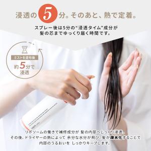 【agea公式】agea Lotion エイジ...の詳細画像5