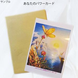 オーダーメイドのヒーリング・エネルギー DVD版の詳細画像3