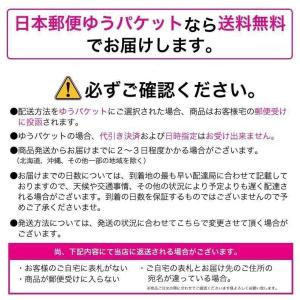Xperia XZ2 Premium SO-0...の詳細画像2