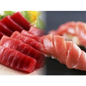 紀州勝浦産近海物天然本鮪 「海桜鮪」１００ｇ２点セット（赤身・大トロ）｜agmarket