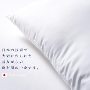 座布団 2枚組 座布団中身 ヌード座布団 イー...の詳細画像1