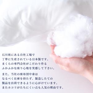 座布団 2枚組 座布団中身 ヌード座布団 イー...の詳細画像2