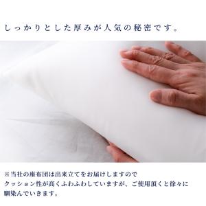 座布団 2枚組 座布団中身 ヌード座布団 イー...の詳細画像5