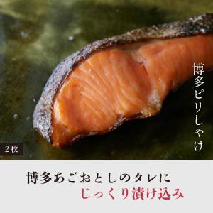 明太子 博多からの贈りもの 雅 博多まるきた水...の詳細画像5
