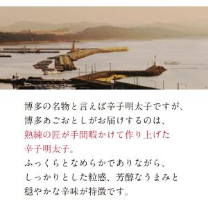明太子 ご飯のすすむ詰合せ ご飯のお供 詰め合...の詳細画像5