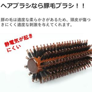 高評価 ヘアブラシ 豚毛 ロールブラシ 木製 ...の詳細画像1