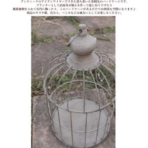 バードケージ 鳥かご アンティーク Lサイズ ...の詳細画像1