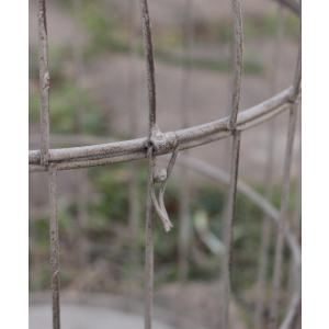 バードケージ 鳥かご アンティーク Lサイズ ...の詳細画像3
