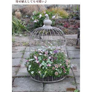 バードケージ 鳥かご アンティーク Lサイズ ...の詳細画像5